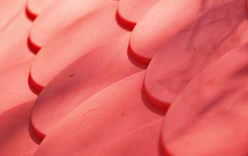 City Of Edinburgh plastic roof costs